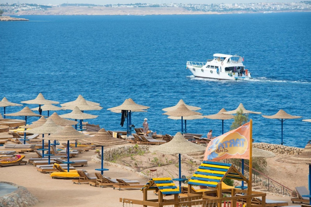 Amphoras Blu Main image